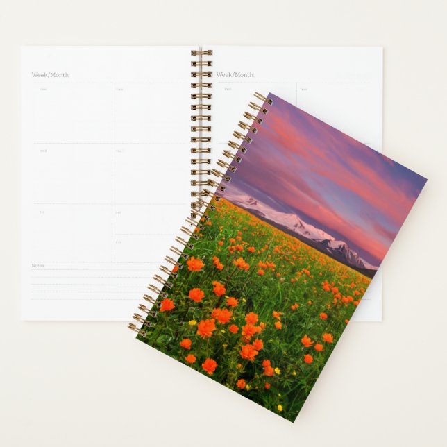 Blumen | Wildblume Felsschneebedeckte Berge Planer (Anzeige)