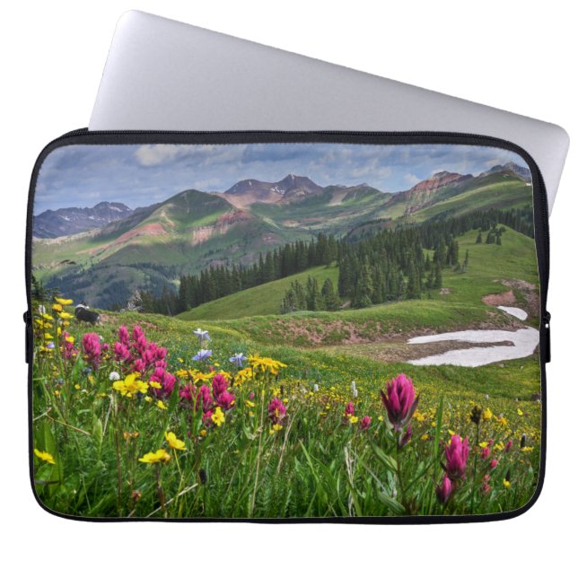 Blumen | Wildblumen Durango, Colorado Laptopschutzhülle (Vorderseite)