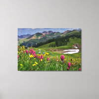 Blumen | Wildblumen Durango, Colorado