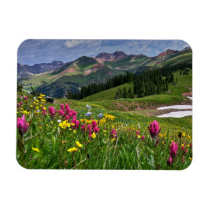 Blumen   Wildblumen Durango, Colorado Magnet