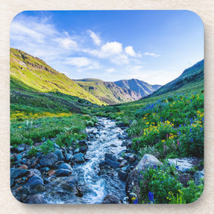 Blumen   Wildblumen in Colorado Getränkeuntersetzer