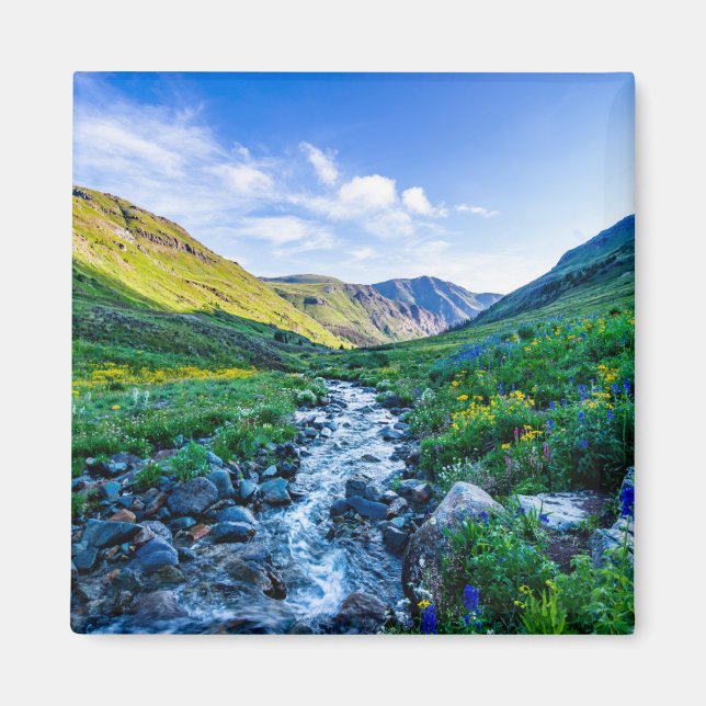 Blumen | Wildblumen in Colorado Magnet (Vorne)