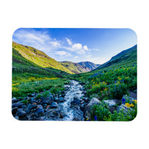 Blumen   Wildblumen in Colorado Magnet