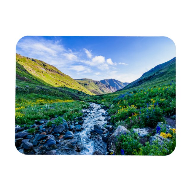 Blumen | Wildblumen in Colorado Magnet (Horizontal)