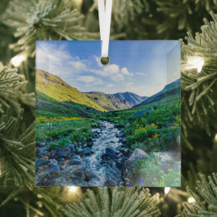 Blumen Wildblumen in Colorado Ornament Aus Glas