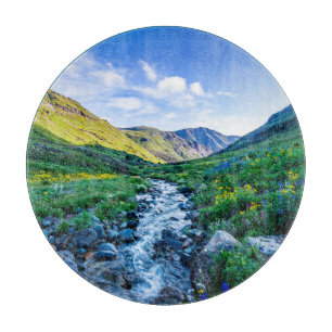 Blumen   Wildblumen in Colorado Schneidebrett