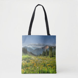 Blumen Wildblumen Silverton Colorado