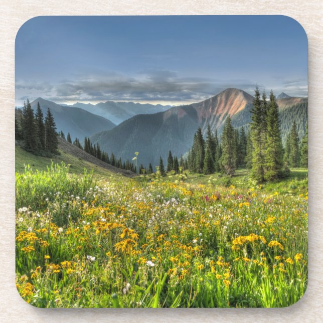 Blumen | Wildblumen Silverton Colorado Getränkeuntersetzer (Vorderseite)