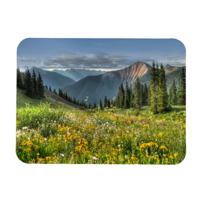 Blumen | Wildblumen Silverton Colorado Magnet (Horizontal)