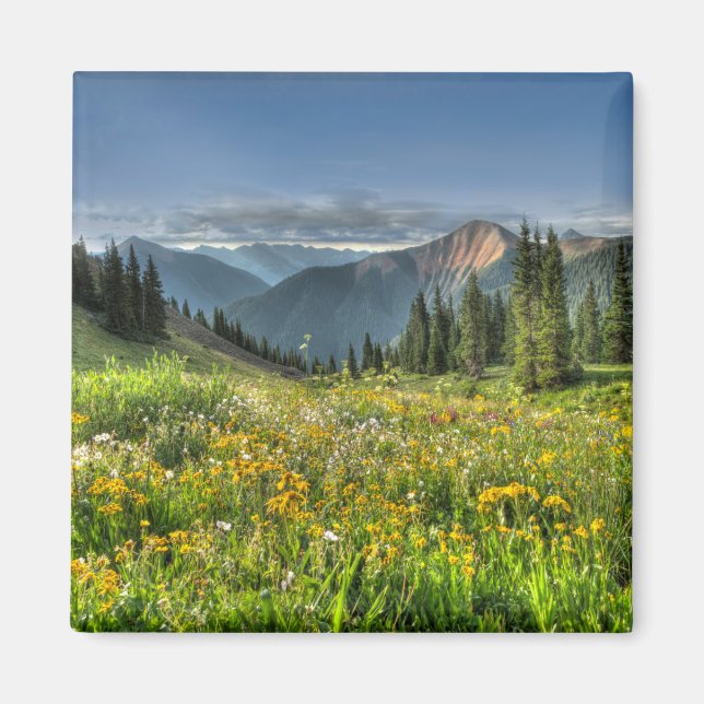 Blumen | Wildblumen Silverton Colorado Magnet (Vorne)