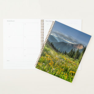 Blumen Wildblumen Silverton Colorado Planer