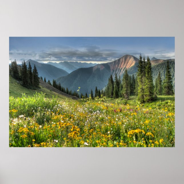 Blumen | Wildblumen Silverton Colorado Poster (Vorne)