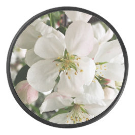 Blumenapfel Eishockey Puck