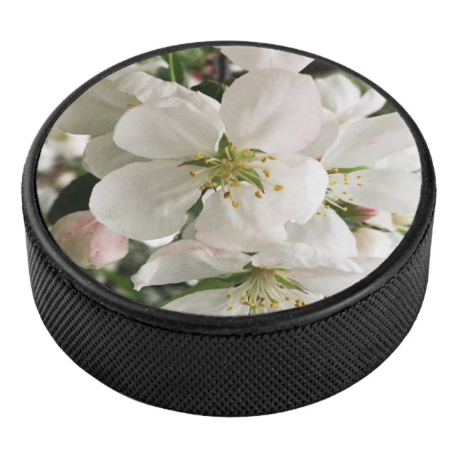 Blumenapfel Eishockey Puck (3/4)