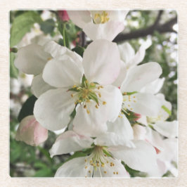 Blumenapfel Glasuntersetzer