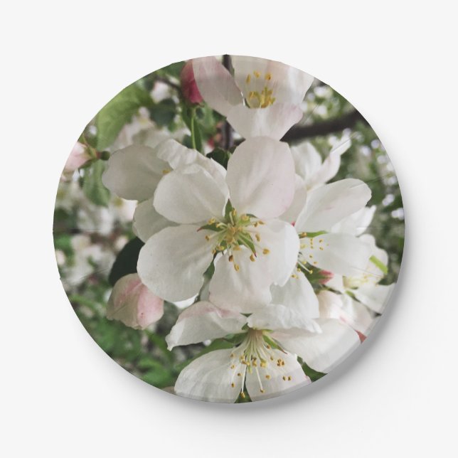 Blumenapfel Pappteller (Vorderseite)
