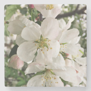 Blumenapfel Steinuntersetzer