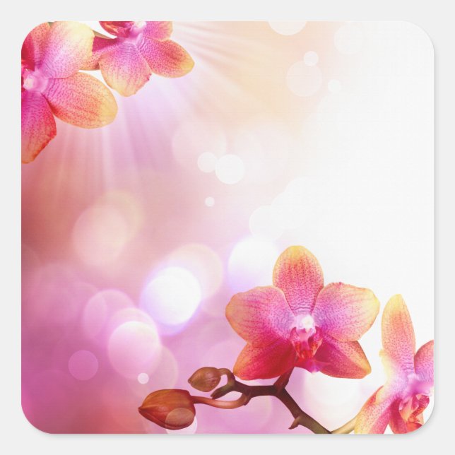 Blumenaufkleber Quadratischer Aufkleber (Vorderseite)
