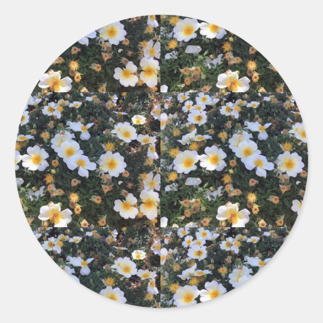 Blumenaufkleber Runder Aufkleber (Vorderseite)