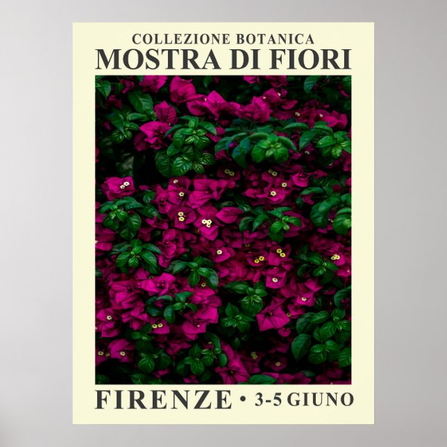 Blumenausstellung Nr. 1 Poster (Vorne)