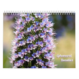 Blumenbeauty aus meiner Gartensammlung Kalender
