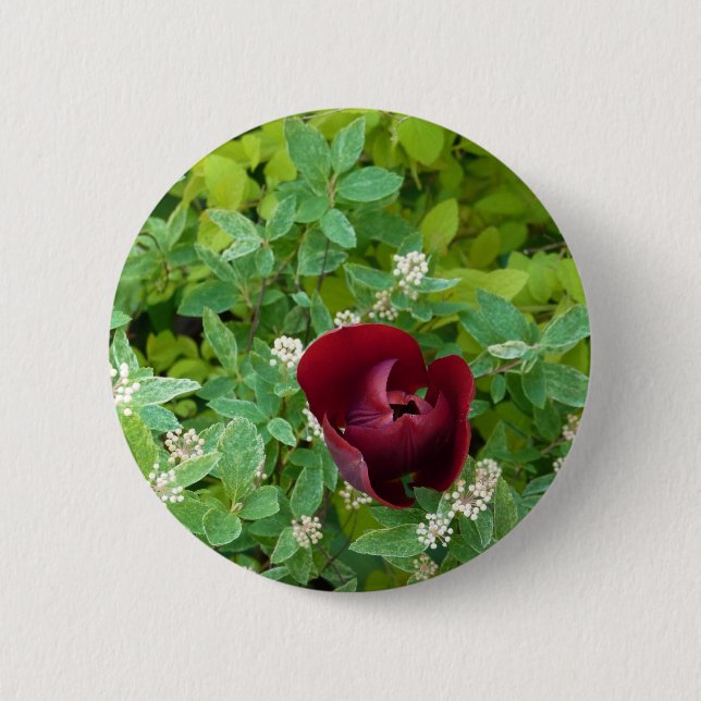 Blumenbeet im Frühjahr Button (Vorderseite)