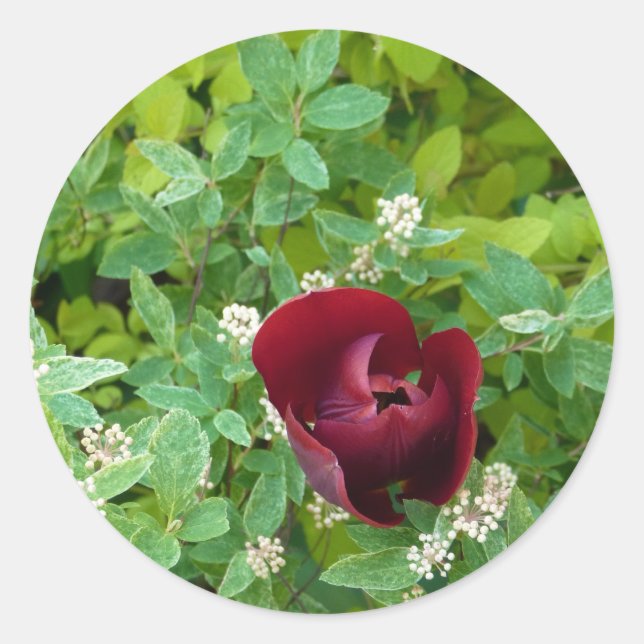 Blumenbeet im Frühjahr Runder Aufkleber (Vorderseite)