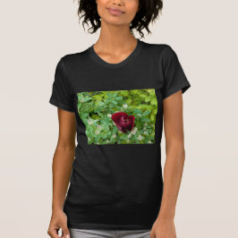 Blumenbeet im Frühjahr T-Shirt