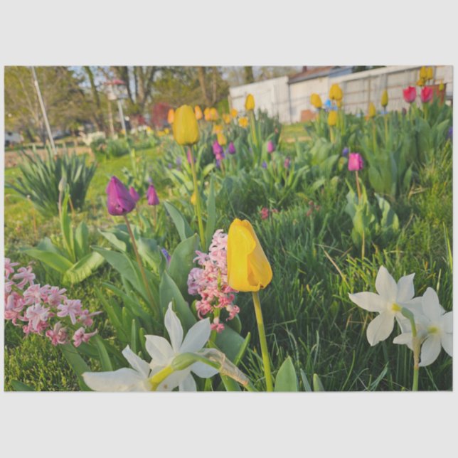 Blumenbenutzerdefiniertes Gewebe Seidenpapier (Vorderseite)