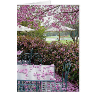 Blumenblätter reichlich