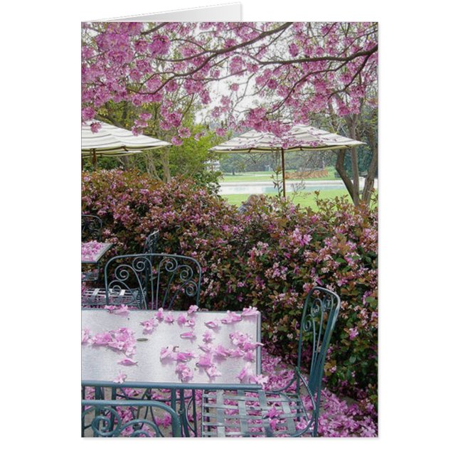 Blumenblätter reichlich (Vorne)