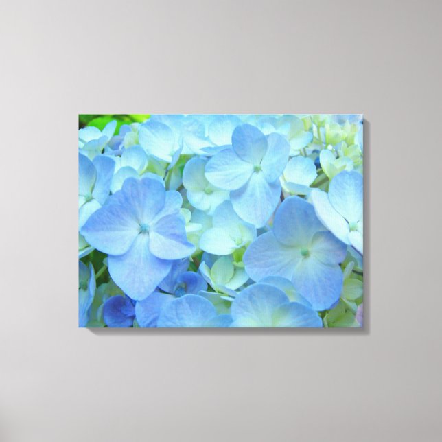 Blumenblauer Hydrangea Blume Kunstdrucke Leinwanddruck (Vorderseite)