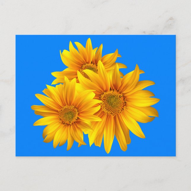 Blumenblume Gelbe Blüten Blauer Himmel Postkarte (Vorderseite)