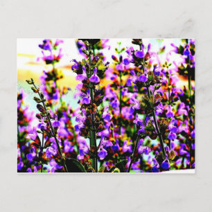 Blumenblume Postkarte