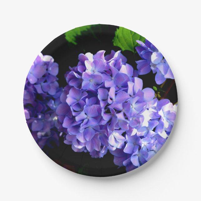 Blumenblumen, Blütenblüten, Hydrangeas Pappteller (Vorderseite)