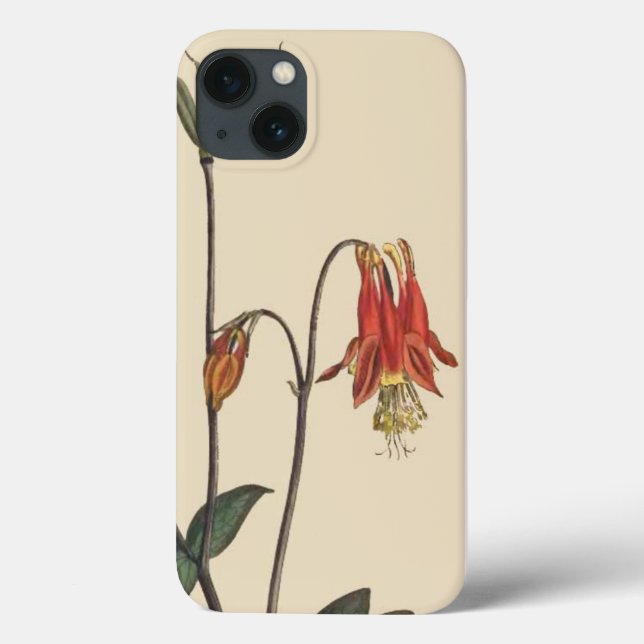 BlumenBlumen-botanischer Garten iPhone 6 Fall Case-Mate iPhone Hülle (Rückseite)