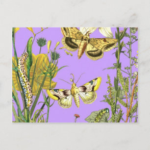 Blumenbotanische Schmetterlingserscheinung Postkarte