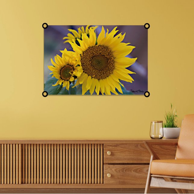Blumencluster Sonnenblumen Nah-up-Foto Poster (Sunflower photograph wall art print. )