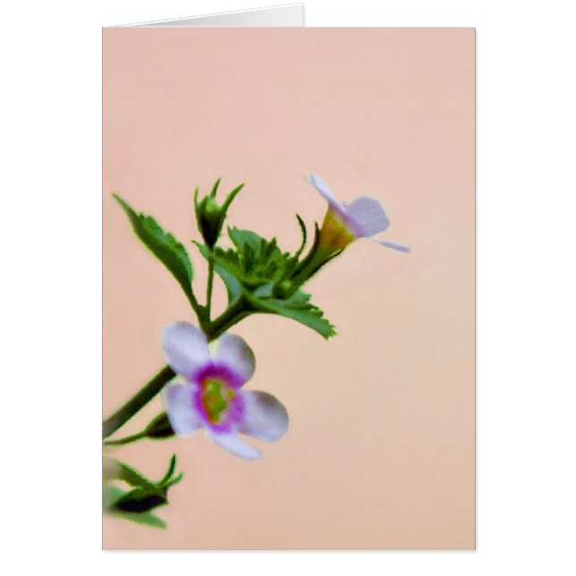 Blumendesign in Rosa (Vorne)