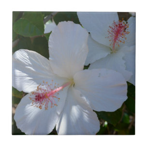 Blumenduft-Keramik-Fliese Fliese