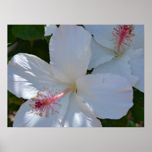 Blumenduft-Leinwanddruck Poster