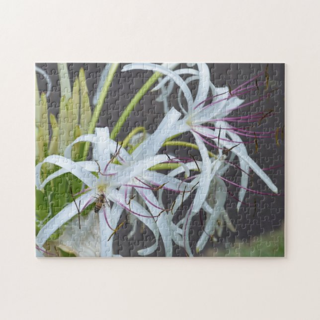 Blumenduft Puzzle (Horizontal)