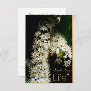 Blumenfeier des Lebens 3 Einladung