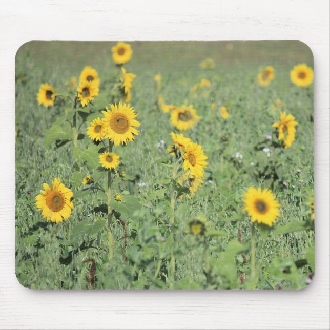 Blumenfeld Mousepad (Vorne)
