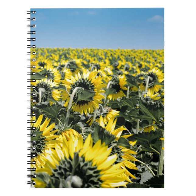 Blumenfeld Notizblock (Vorderseite)