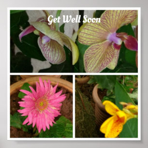 Blumenfoto-Collage Poster