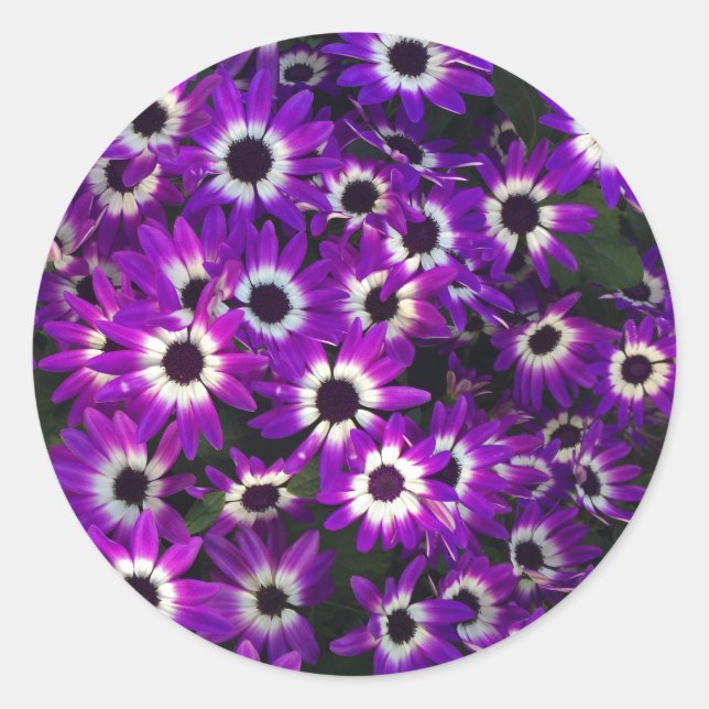 BlumenFoto Lila Petals Schwarz-weiße Blume Runder Aufkleber (Vorderseite)