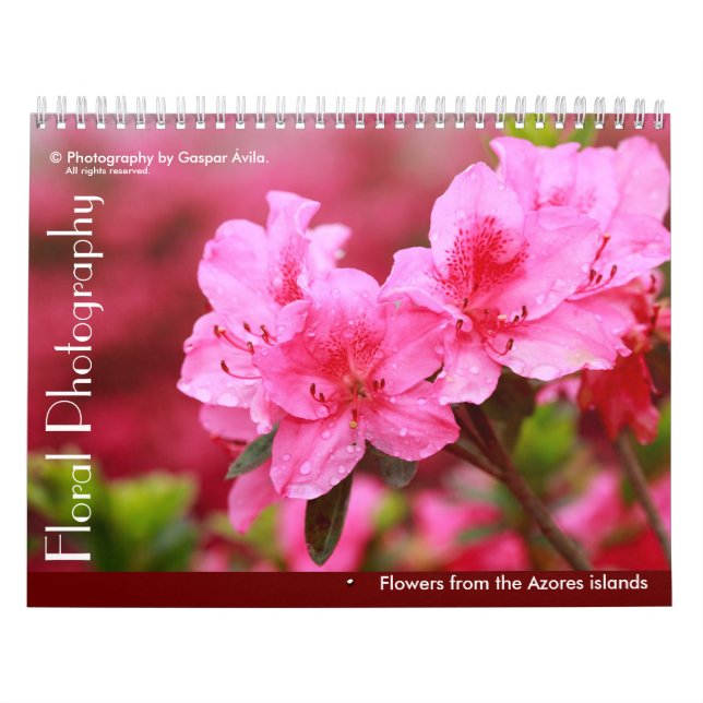 Blumenfotografie - Azoren Kalender (Titelbild)