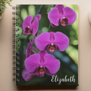 Blumenfotografie Elegantes Lila Orchid Custom Notizblock