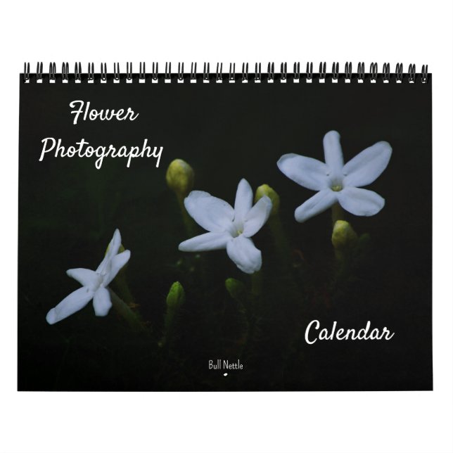 Blumenfotografie Kalender (Titelbild)